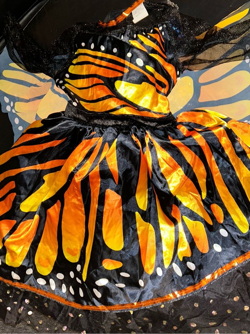 Girls' Black & Orange Butterfly Costume Dress
